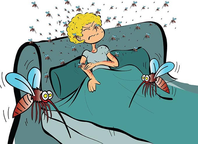 Waarom Zoemen Muggen Bij Je Oor